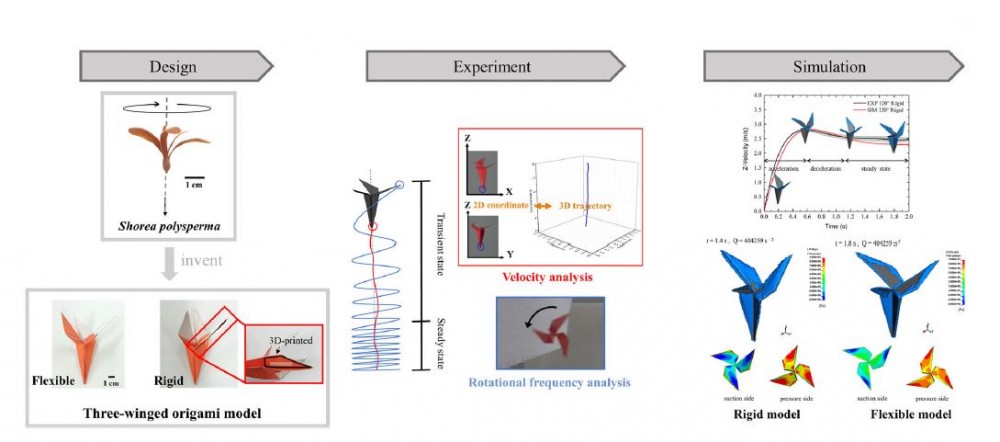 Graphical abstract