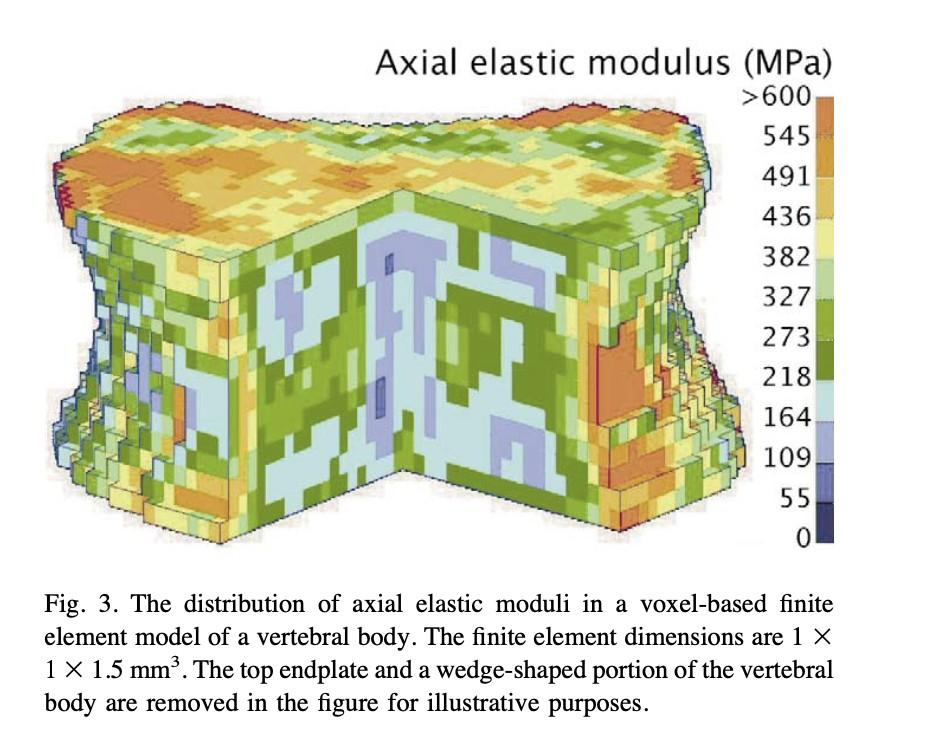 elastic modulus 模型分布範例